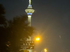 -鱼翅楼·津派砂锅鱼翅(水上公园店)
