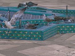 -哈桑二世清真寺