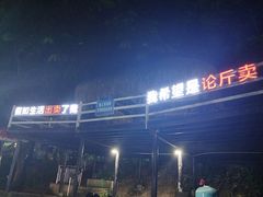 -虎英水上乐园