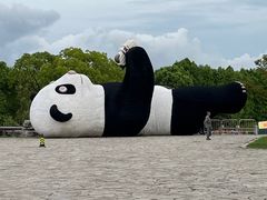 -苏州太湖国家湿地公园