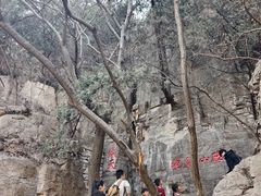 -腊山国家森林公园