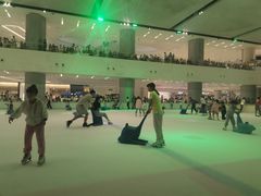 -TheRink大零溜冰场(IFS国金中心店)