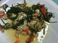 -煲来饱去冷水鱼
