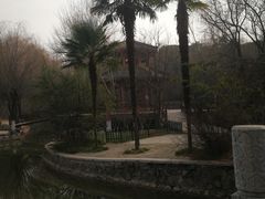 -西安市长乐公园