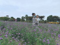 -歌斐颂巧克力小镇