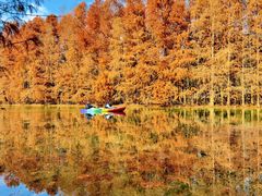 -上海海湾国家森林公园