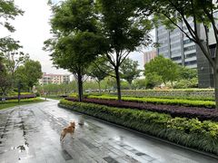 -新城控股新总部大楼