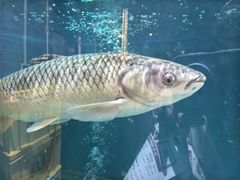 -红日饭店(裕隆三路店)