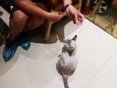 -藏猫猫咖啡主题馆(中央大道店)