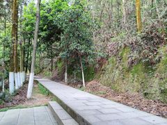 -云碧峰国家森林公园