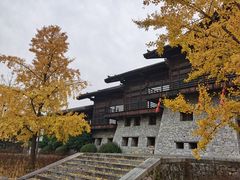 -大唐贡茶院