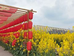 -中国天府农业博览园