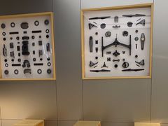 -DJI大疆(深圳华强北曼哈授权体验店)