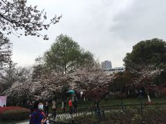 -堤角公园