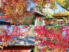 -护国法轮寺