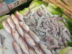 -益健美食大广场(北岭店)