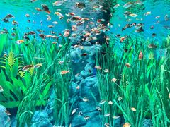 -上海海洋水族馆