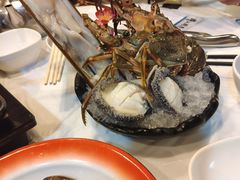 -鲜入围煮花胶鸡海鲜火锅