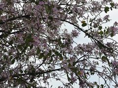 -中国移动南方基地