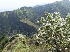 -秦岭风景区