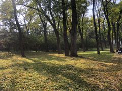 -元大都城垣遗址公园