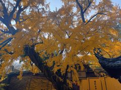 -无锡惠山寺