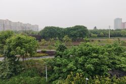 点击看大图 -安琪朵朵独栋花园月子中心