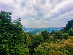 -岳麓山风景名胜区