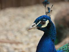 -南京金牛湖风景区