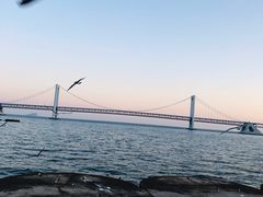 -星海湾跨海大桥