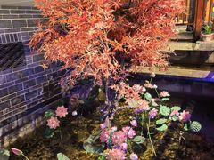 -真定郝家排骨(正定县总店)