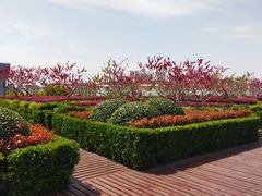 -中共上海市委党校 上海行政学院