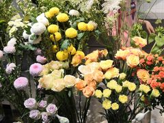 -植物学家的女儿(北马道巷店)