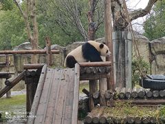 -上海野生动物园