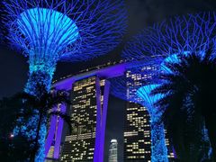 -新加坡乌节希尔顿酒店 (SG Clean)