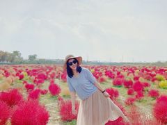 -映月湖中央公园