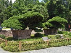 -水绘园