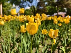 -长春公园(普阳街道)