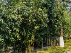 -宣武艺园