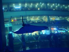 -成都浩海立方海洋公园