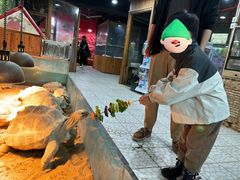 -上海大自然野生昆虫馆(东方明珠·爬宠昆虫探索中心)