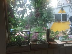 -海边的猫和咖啡馆