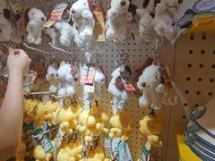 -九木杂物社(中心店)