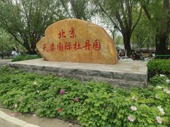 -太阳宫公园