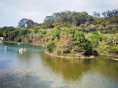 -水濂山森林公园