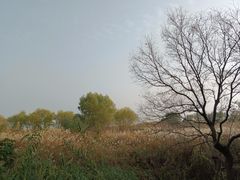 -苏州太湖国际会议中心