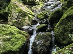 -神农架景区