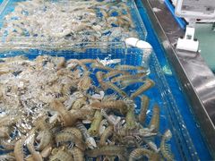 -盒马鲜生(领丰汇店)