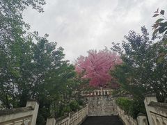 -四川省成都市彭州市白鹿镇