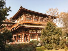 -西安青龙寺遗址景区